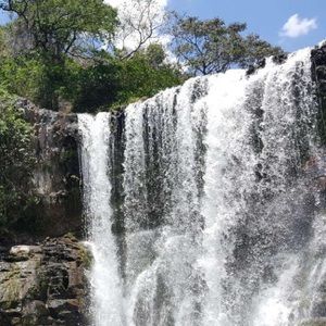 Meet your Posher, Giselle